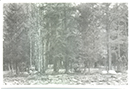 %_tempFileName01705b%